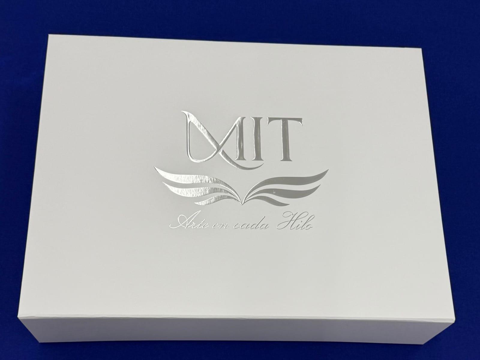 MIT white box with a silver logo